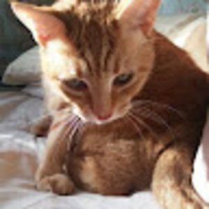 Meet your Posher, Lillian